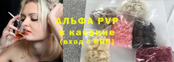 гидра Володарск