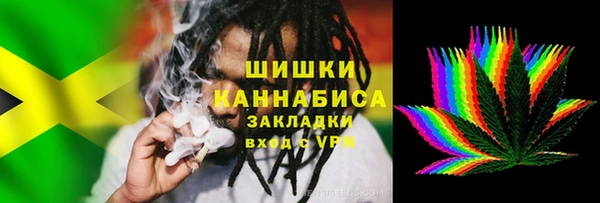 гидра Володарск