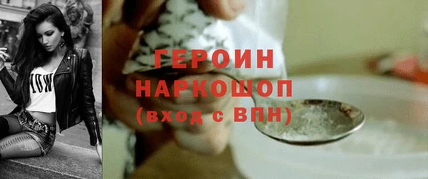 гидра Володарск