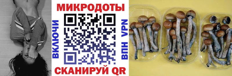 Псилоцибиновые грибы GOLDEN TEACHER  купить  сайты  omg ТОР  Элиста 