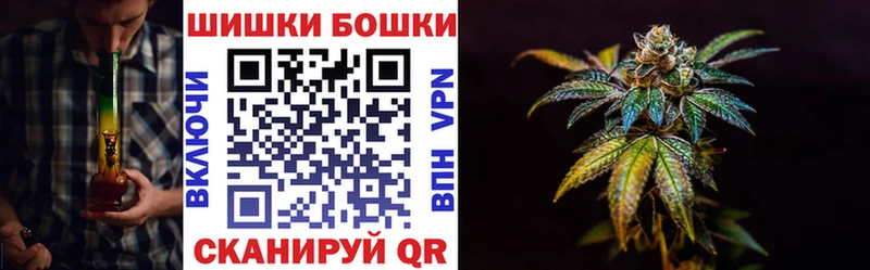 купить наркотик  Элиста  OMG ссылки  Бошки Шишки Amnesia 